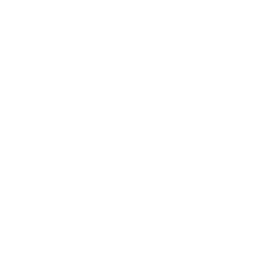 Smart Contract Development
